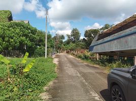  Grundstück zu verkaufen in Thalang, Phuket, Pa Khlok