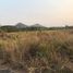  Land for sale in Chon Buri, Nong I Run, Ban Bueng, Chon Buri