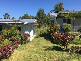 5 Schlafzimmer Haus zu vermieten in Loei, Khok Ngam, Dan Sai, Loei