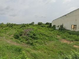  Land for sale in Pran Buri, Prachuap Khiri Khan, Khao Noi, Pran Buri