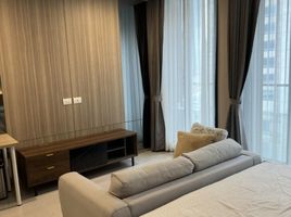 1 Bedroom Condo for rent at Noble Ploenchit, Lumphini, Pathum Wan, Bangkok, Thailand