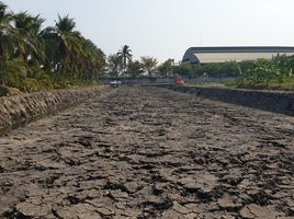  Grundstück zu verkaufen in Sam Phran, Nakhon Pathom, Sam Phran, Sam Phran