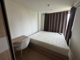 1 Schlafzimmer Wohnung zu vermieten im The Excel Hideaway Sukhumvit 50, Phra Khanong, Khlong Toei