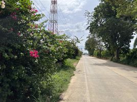  Land for sale in Phanat Nikhom, Pattaya, Phanat Nikhom, Phanat Nikhom