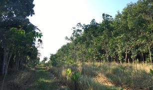 N/A Land for sale in Hat Phan Krai, Chumphon 