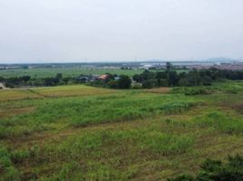  Grundstück zu verkaufen in Ban Bueng, Chon Buri, Nong Chak, Ban Bueng