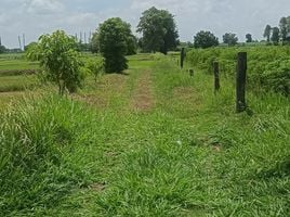  Grundstück zu verkaufen in Chakkarat, Nakhon Ratchasima, Si Lako