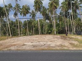  Grundstück zu verkaufen in Khanom, Nakhon Si Thammarat, Khanom, Khanom