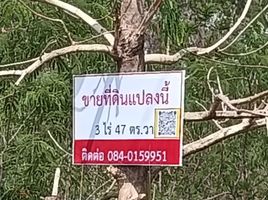 在Mueang Si Sa Ket, 四色菊出售的 土地, Chan, Mueang Si Sa Ket