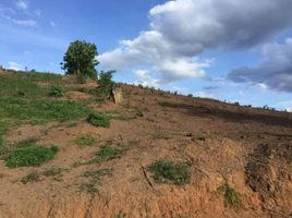  Grundstück zu verkaufen in Pai, Mae Hong Son, Wiang Nuea