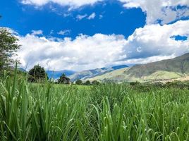  Grundstück zu verkaufen in Loja, Loja, Quinara