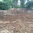  Land for sale in Nam Phrae, Hang Dong, Nam Phrae