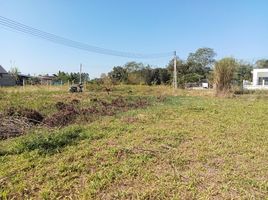  Land for sale in Chiang Mai, San Pu Loei, Doi Saket, Chiang Mai