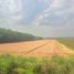  Land for sale in Pluak Daeng Rayong, Map Yang Phon