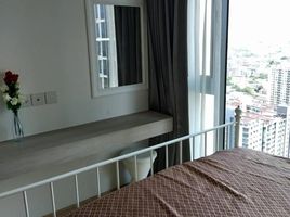 1 Bedroom Condo for rent at Whizdom Connect Sukhumvit, Bang Chak, Phra Khanong, Bangkok