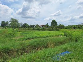 2 Schlafzimmer Haus zu verkaufen in Chaloem Phra Kiat, Saraburi, Khao Din Phatthana