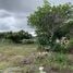  Land for sale in Nong Prue, Pattaya, Nong Prue