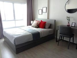 1 Bedroom Condo for rent at Dcondo Rin, Fa Ham, Mueang Chiang Mai