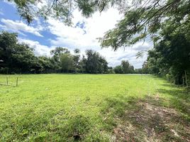  Land for sale in Nam Phrae, Hang Dong, Nam Phrae