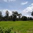  Land for sale in Kut Phia Khom, Chonnabot, Kut Phia Khom