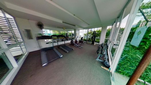 3D-гид of the Communal Gym at Siri On 8