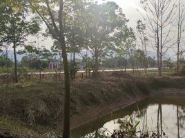  Land for sale in Nong Bua Lam Phu, Na Mafueang, Mueang Nong Bua Lam Phu, Nong Bua Lam Phu