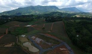 N/A Grundstück zu verkaufen in Khaem Son, Phetchabun 