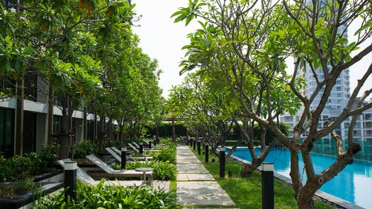 รูปถ่าย 1 of the Communal Garden Area at ไอดีโอ ลาดพร้าว 5