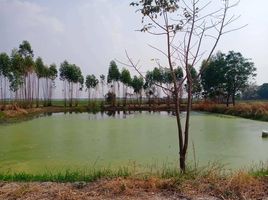  Land for sale in Doem Bang, Doem Bang Nang Buat, Doem Bang
