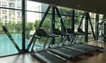 Communal Gym at D Condo Ping