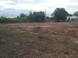  Land for sale in Phitsanulok, Hua Ro, Mueang Phitsanulok, Phitsanulok