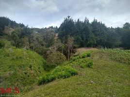  Grundstück zu verkaufen in Guarne, Antioquia, Guarne, Antioquia, Kolumbien