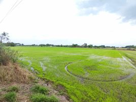  Grundstück zu verkaufen in Nong Khae, Saraburi, Nong Khaem