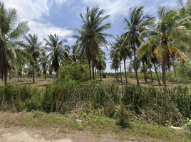  Grundstück zu verkaufen in Kui Buri, Prachuap Khiri Khan, Kui Nuea, Kui Buri