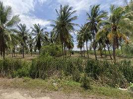  Land for sale in Prachuap Khiri Khan, Kui Nuea, Kui Buri, Prachuap Khiri Khan