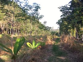  Land for sale in Hat Phan Krai, Mueang Chumphon, Hat Phan Krai