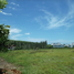 Land for sale in Pa Khlok, Thalang, Pa Khlok