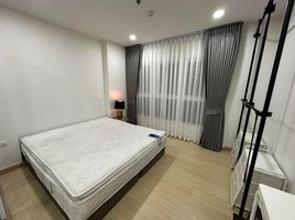 1 Bedroom Apartment for rent at Supalai Veranda Ramkhamhaeng, Hua Mak