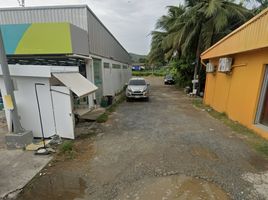  Land for sale in Sattahip, Chon Buri, Sattahip, Sattahip