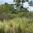  Land for sale in Krabi, Khlong Thom Nuea, Khlong Thom, Krabi