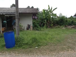  Land for sale in Mueang Chumphon, Chumphon, Na Thung, Mueang Chumphon