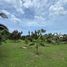  Land for sale in Koh Samui Surat Thani, Maret