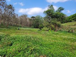  Land for sale in Chiang Rai, Chan Chawa, Mae Chan, Chiang Rai