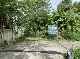  Land for sale in Sikhio, Nakhon Ratchasima, Sikhio, Sikhio