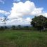  Land for sale in Limon, Siquirres, Limon