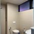 Studio Penthouse for rent at Lumi Tropicana, Bandar Petaling Jaya, Petaling