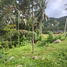  Land for sale in Koh Samui Surat Thani, Maret