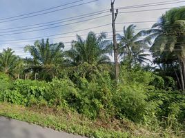  Land for sale in Chumphon, Na Kratam, Tha Sae, Chumphon