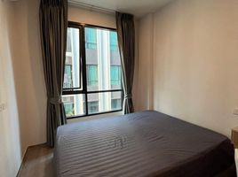 1 Schlafzimmer Appartement zu vermieten im BRIXTON Pet and Play Sukhumvit 107, Bang Na