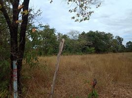  Grundstück zu verkaufen in Mueang Nong Khai, Nong Khai, Pho Chai, Mueang Nong Khai